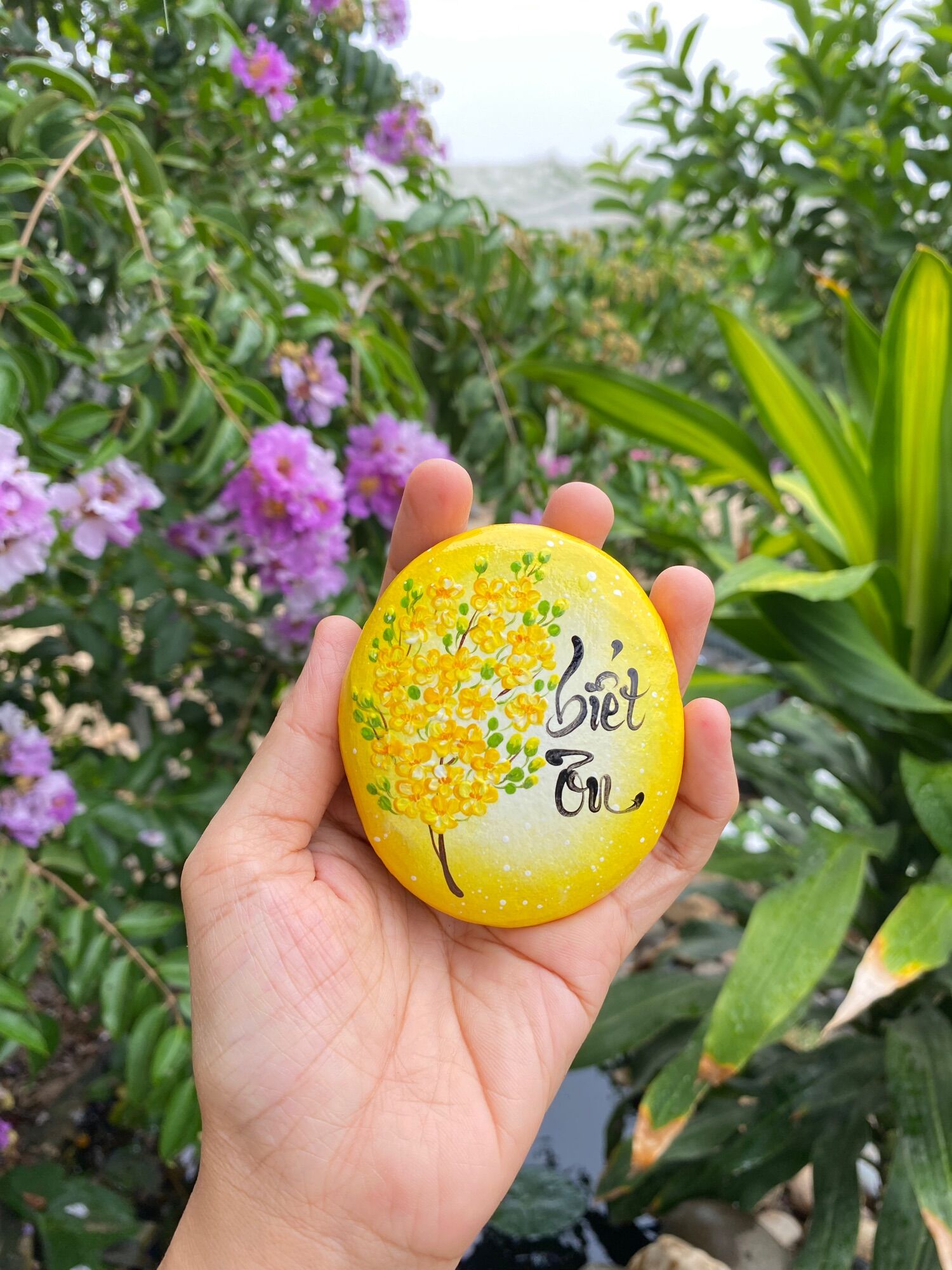 Hòn đá biết ơn mẫu hoa mai