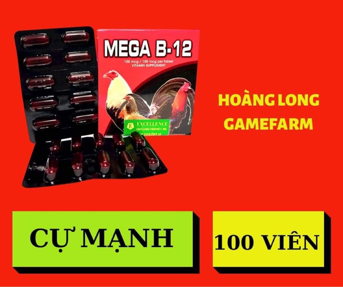 Mega b12 dinh dưỡng cho gà đá