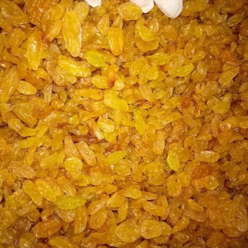 Nho khô Ấn Độ Raisin 100g