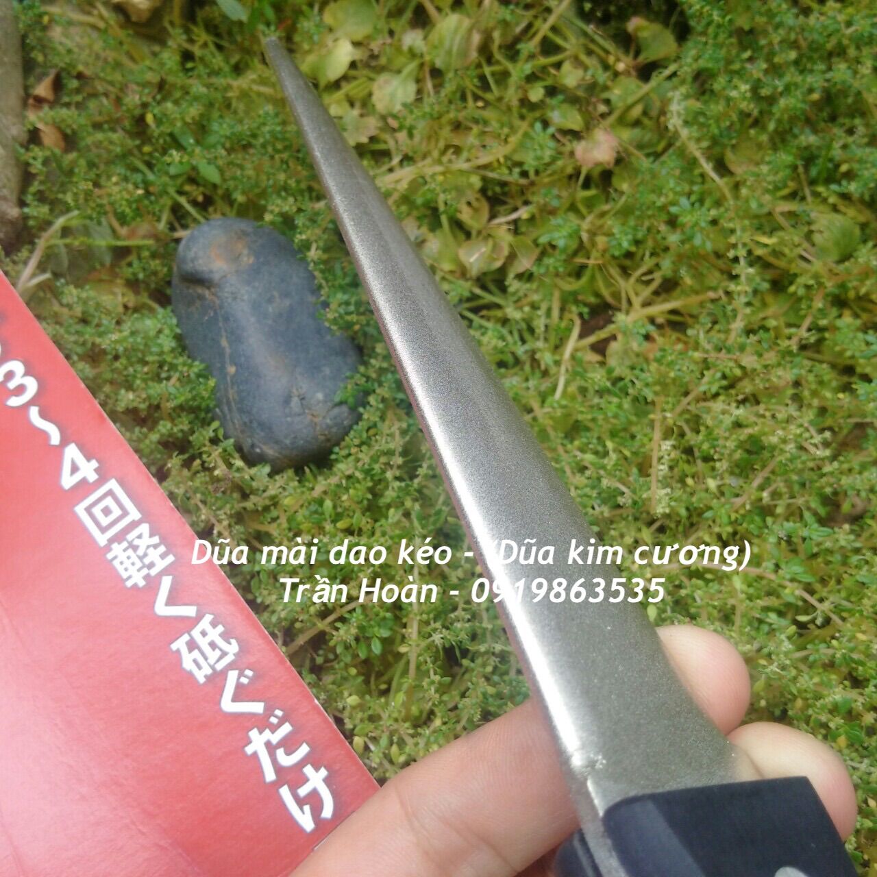 DŨA MÀI DAO KÉO (DŨA KIM CƯƠNG)
