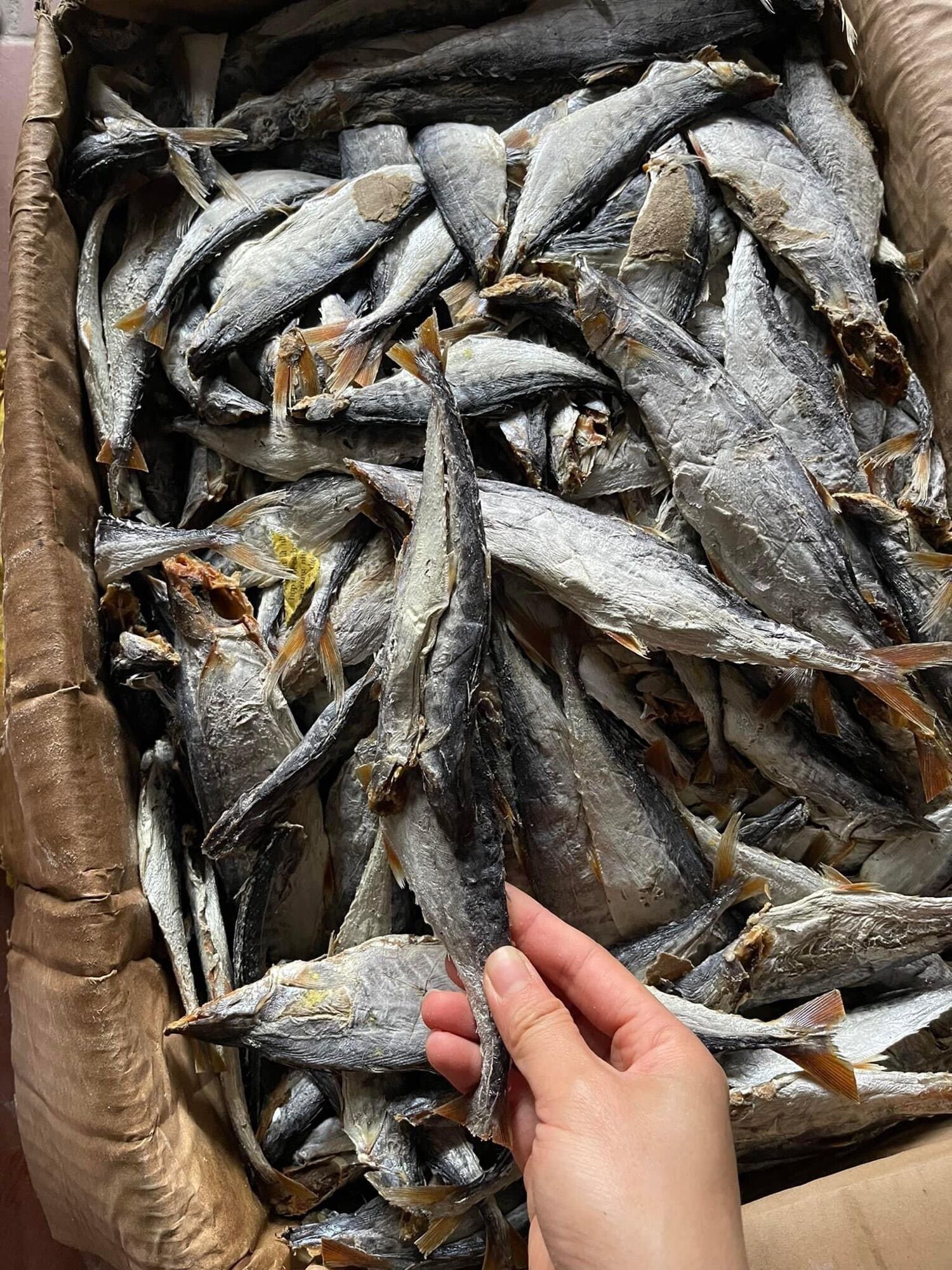500gram cá thu khô khô, rát