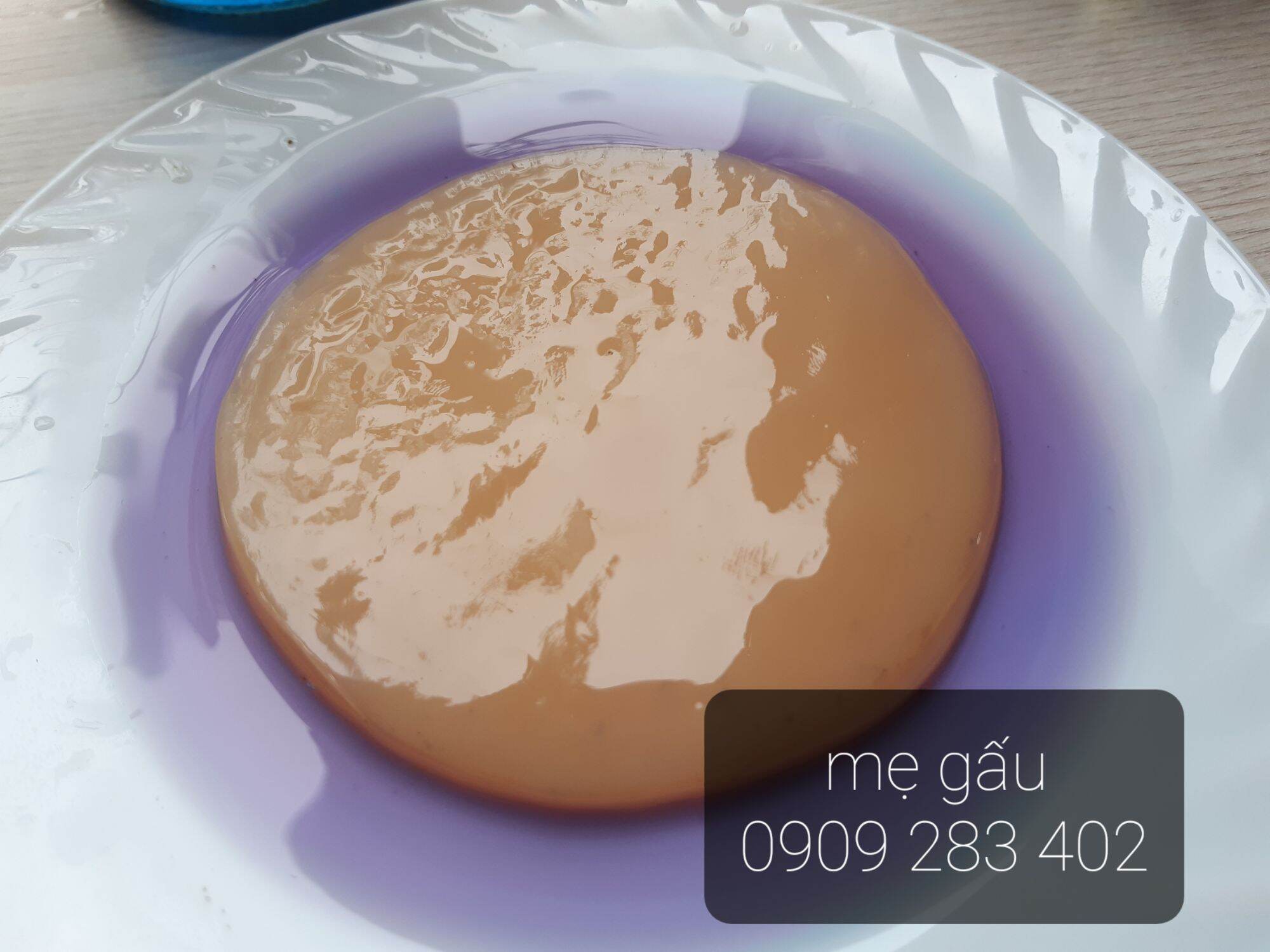 scoby kombucha( con giống thủy sâm) dùng làm trà kombucha