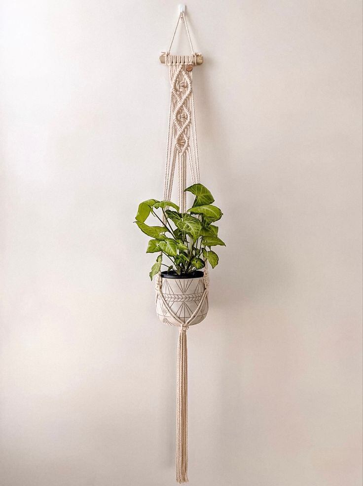 Dây tết macrame handmade treo trang trí tường chậu cây cảnh