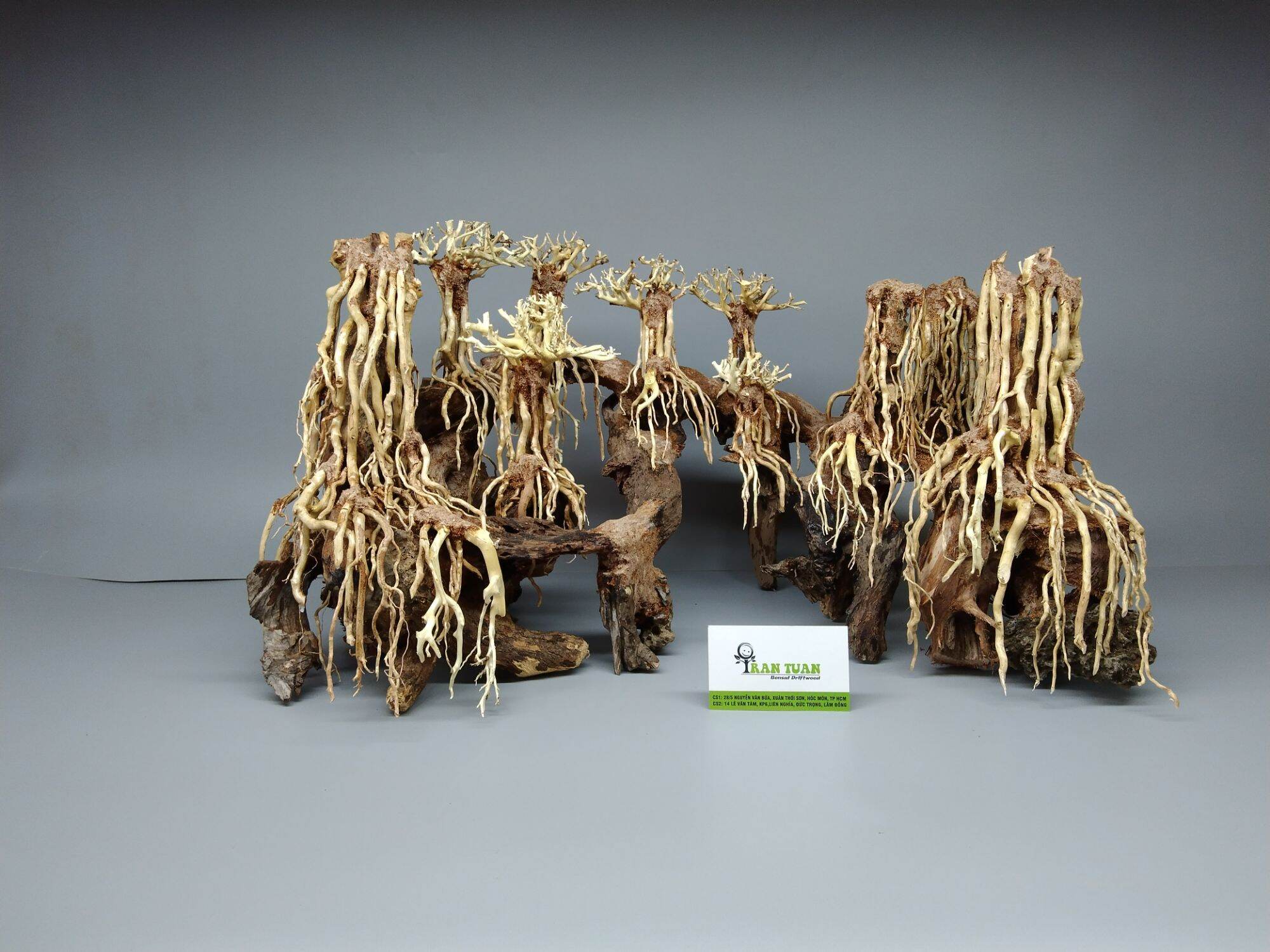 Cây gỗ lũa bonsai cho hồ cá cảnh, hồ thủy sinh dạng Layout
