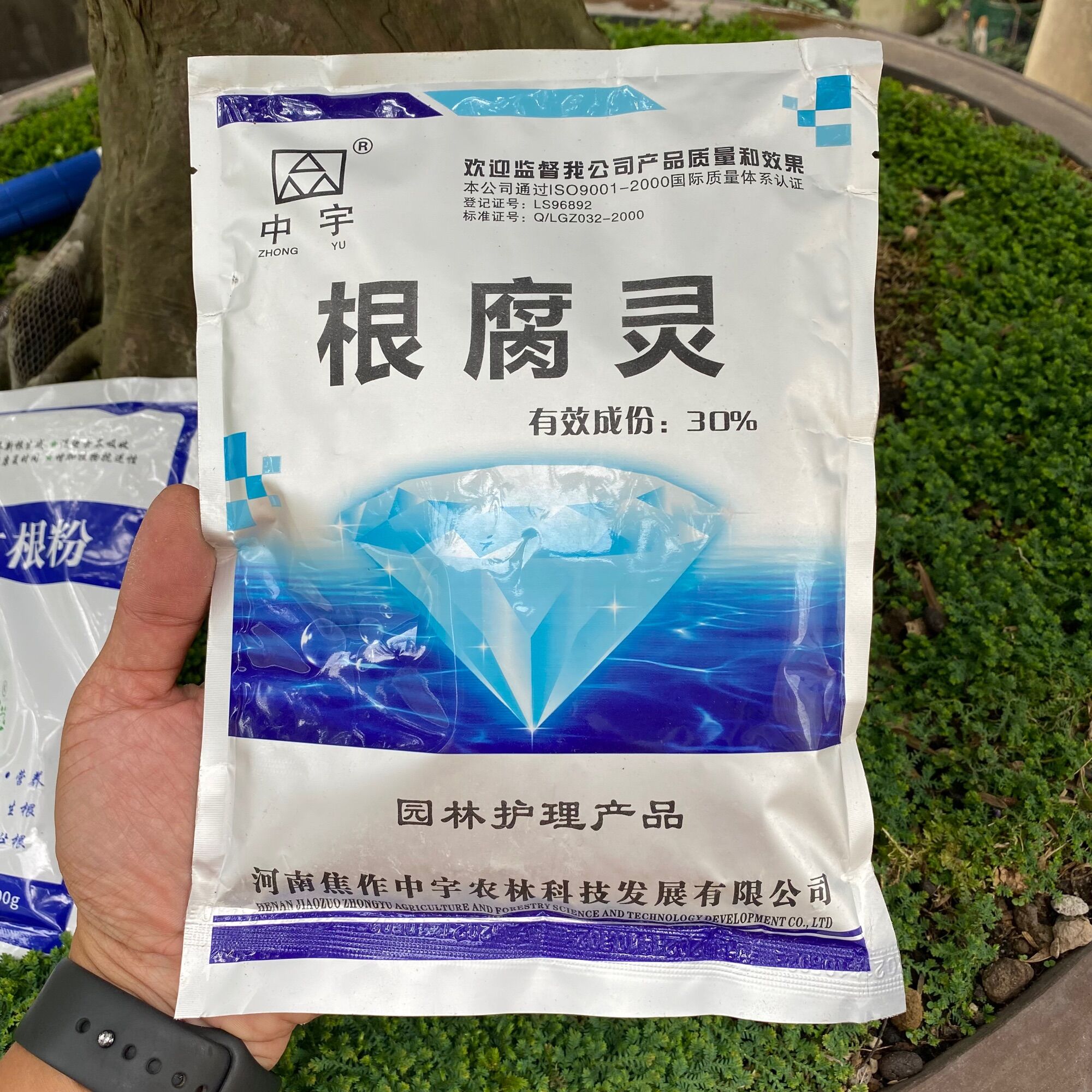 Bột kích rễ và chống thối rễ combo 2 gói