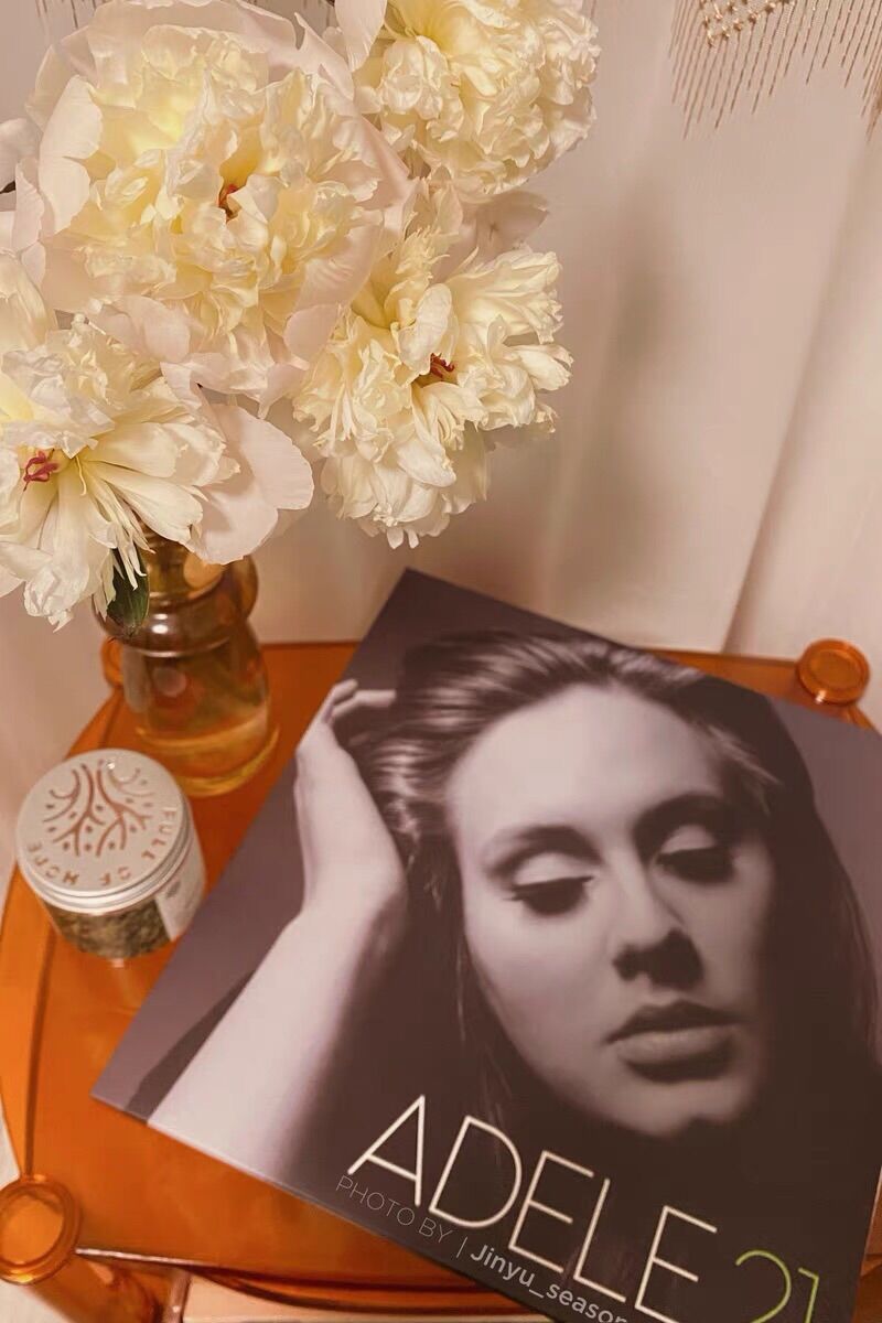 Đĩa nhạc than Adele 21 kinh điển 12 inch