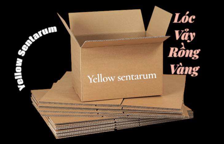 Hộp giấy YELLOW SENTARUM nhiều kích thước