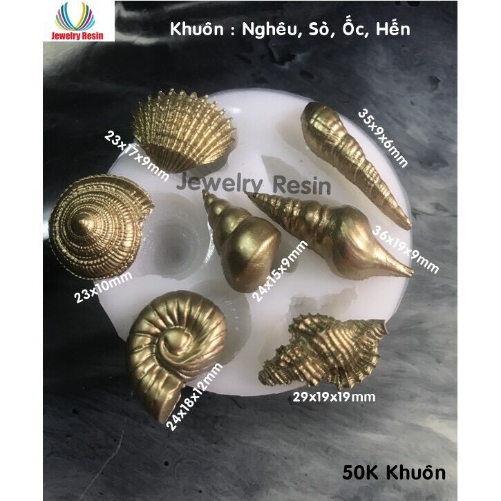 Nghêu sò ốc hến, khuôn nghêu sò ốc hến, khuôn epoxy resin , khuôn silicone
