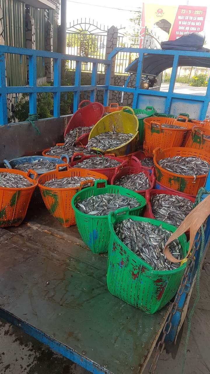 Mắn nhĩ cá cơm- Đặc sản Ninh Thuận