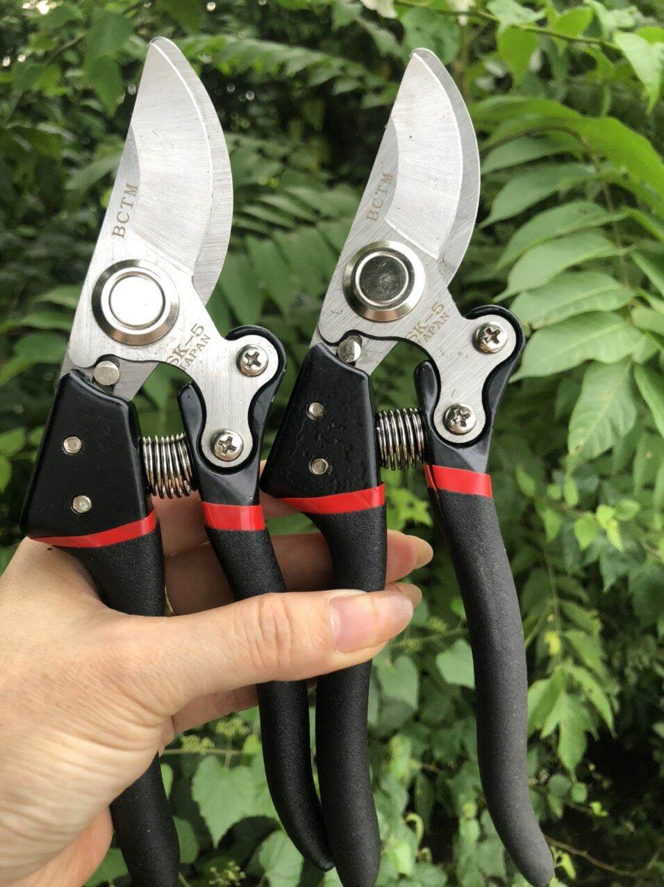 Kéo cắt cành SK5 công nghệ Nhật Bản xịn