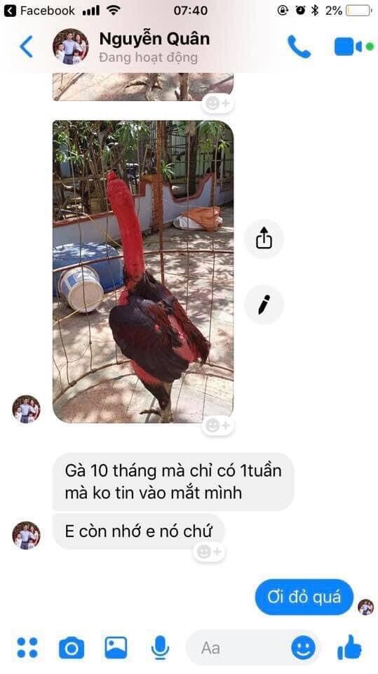 Breast tie chicken bottle