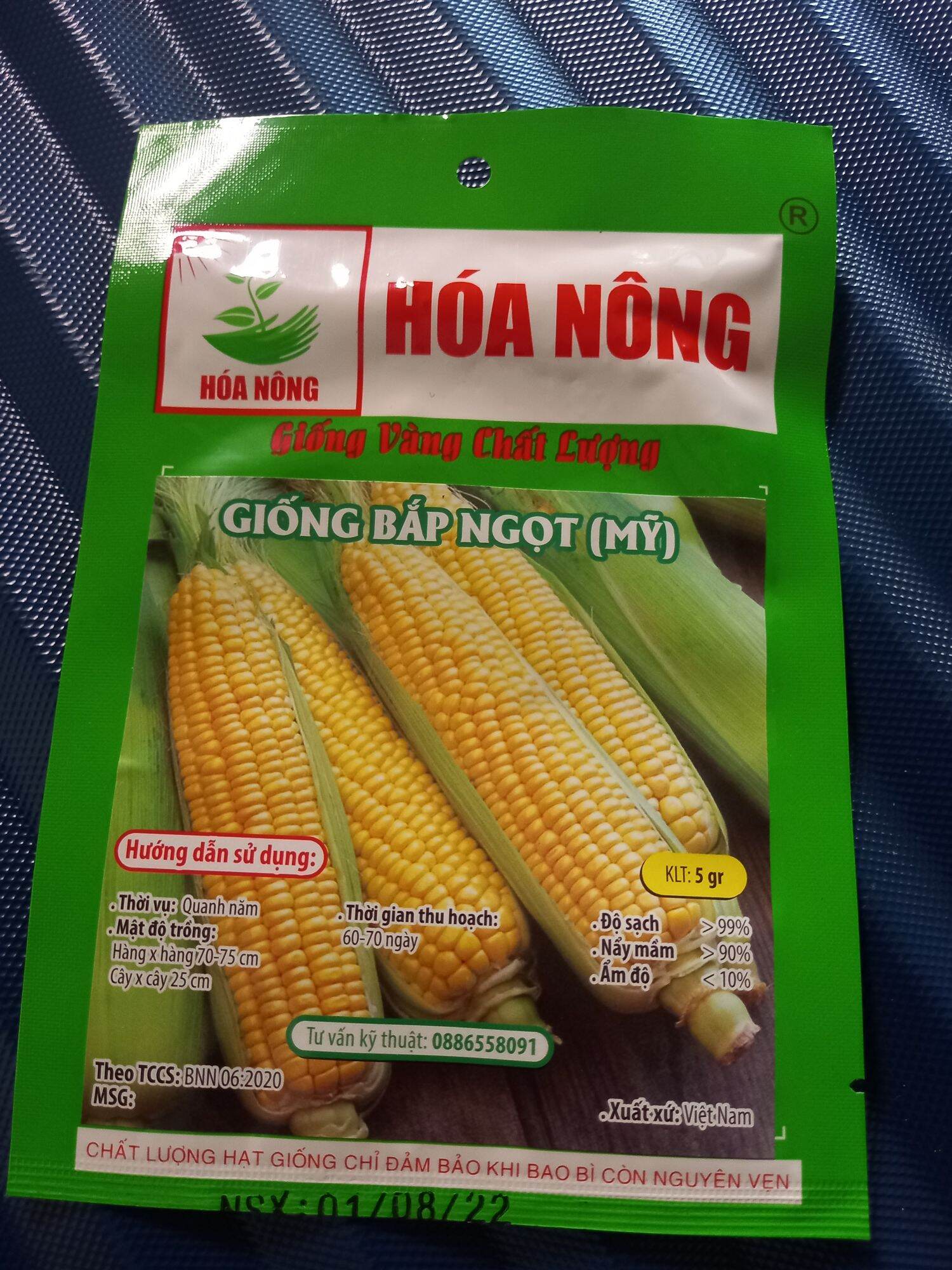 Hạt bắp Mỹ trái to