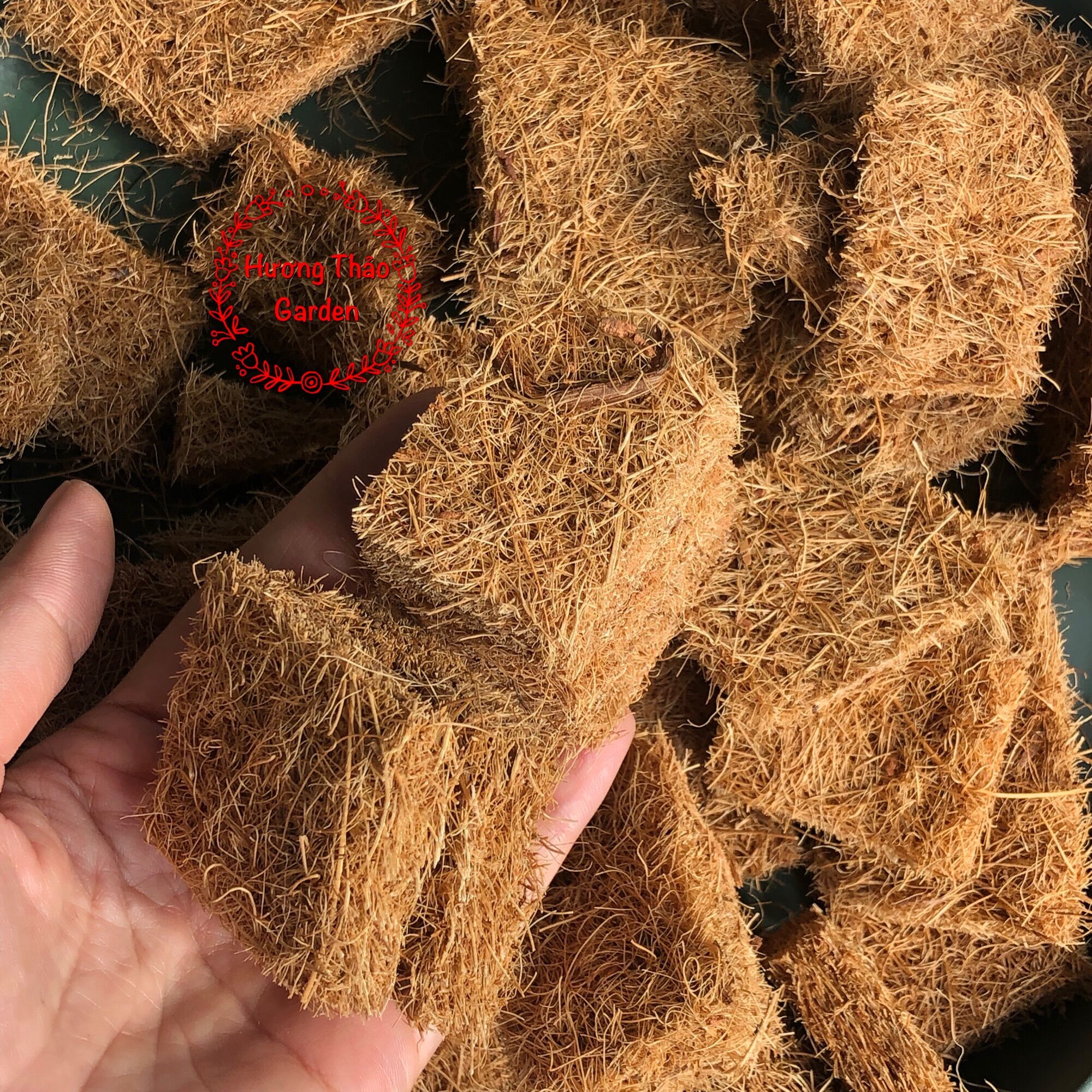 Xơ Dừa Trồng Lan Lavamix 3,5dm