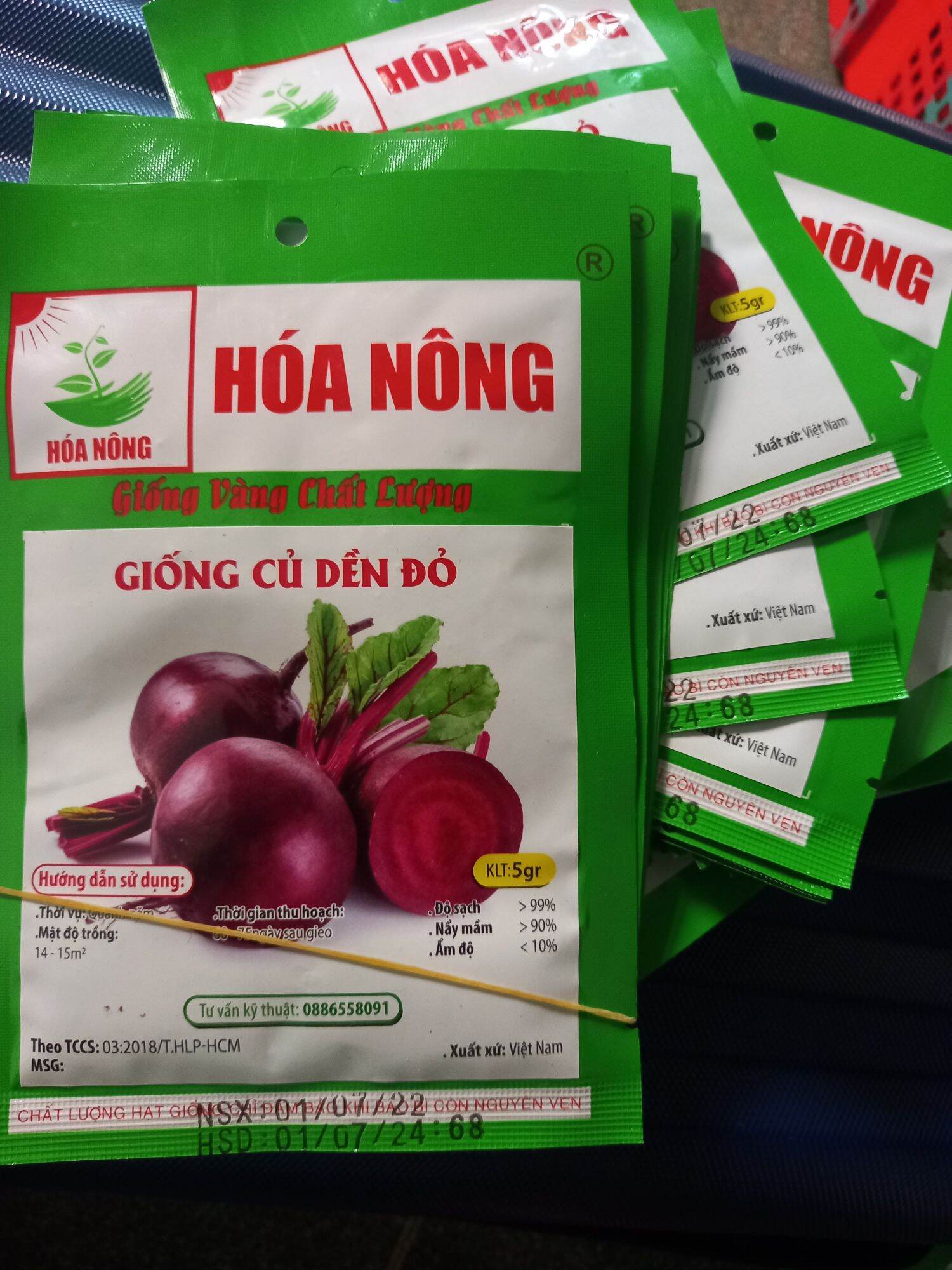 Hạt củ dền đỏ thu hoạch quanh năm