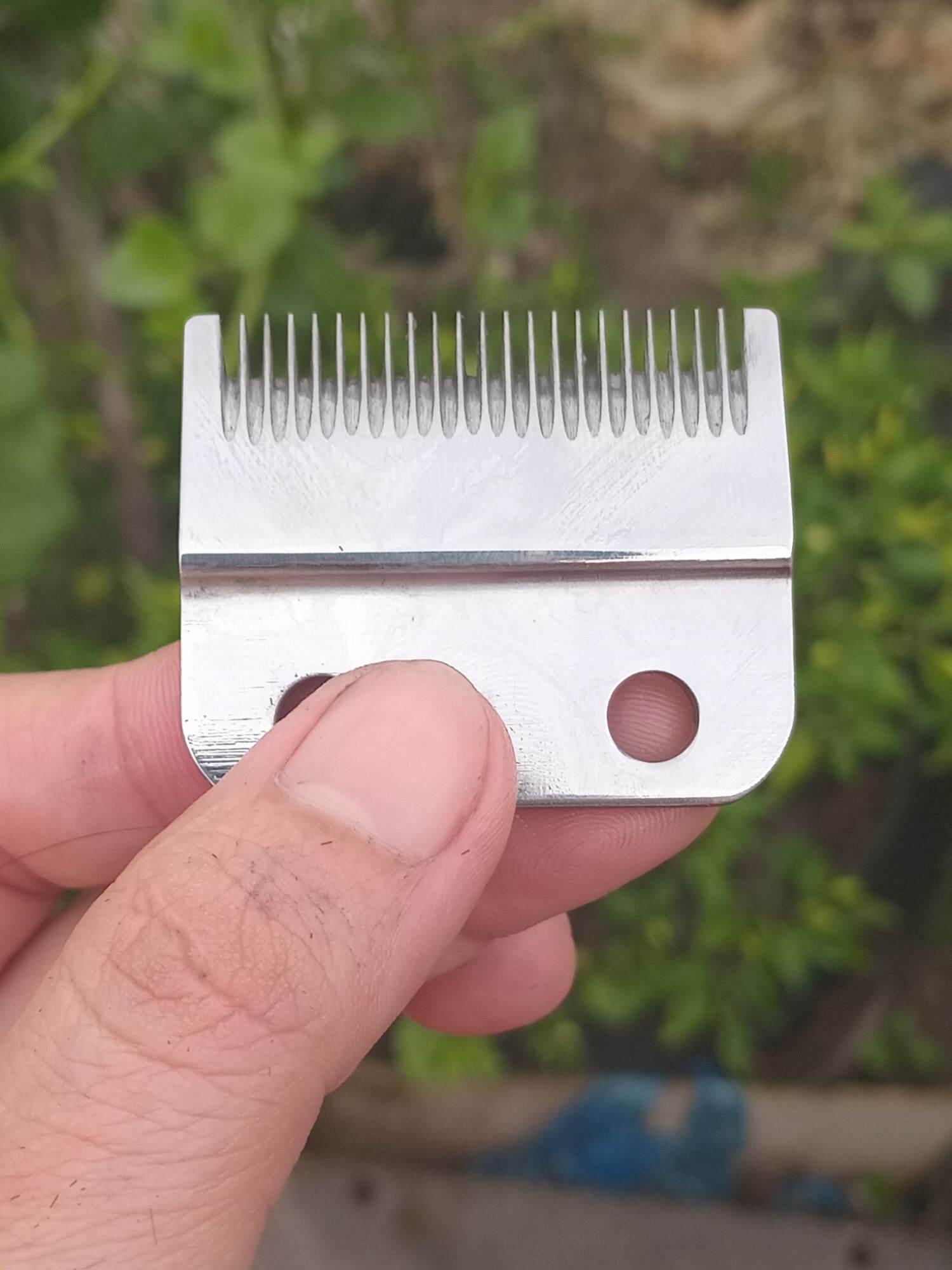 lưỡi kép đã mài chuốt
