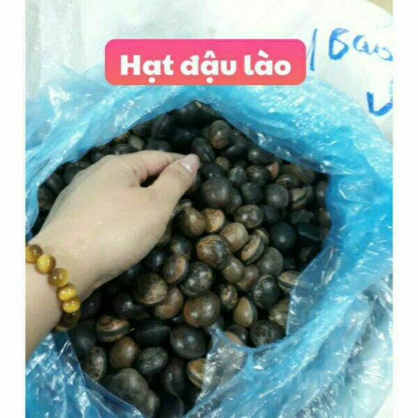 1kg hạt đậu lào