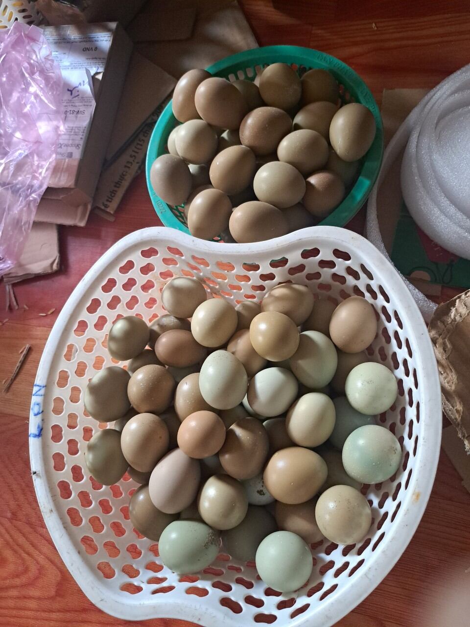 Combo10 trứng chim trĩ ăn