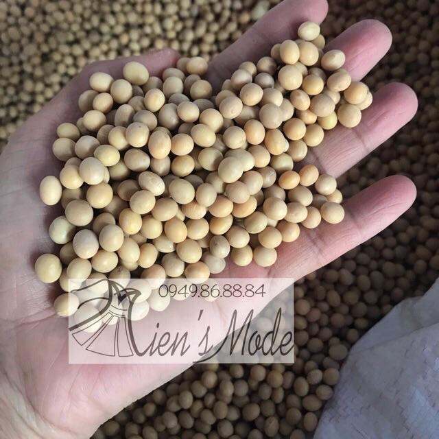 1kg Đỗ tương ( đậu nành)