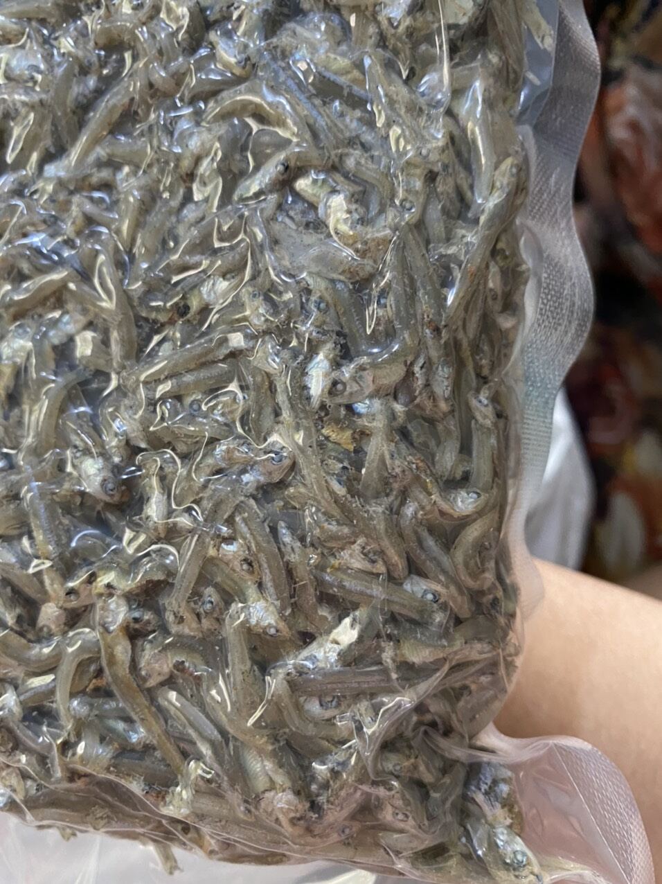 0,5kg khô cá cơm/cá cơm khô xuất khẩu