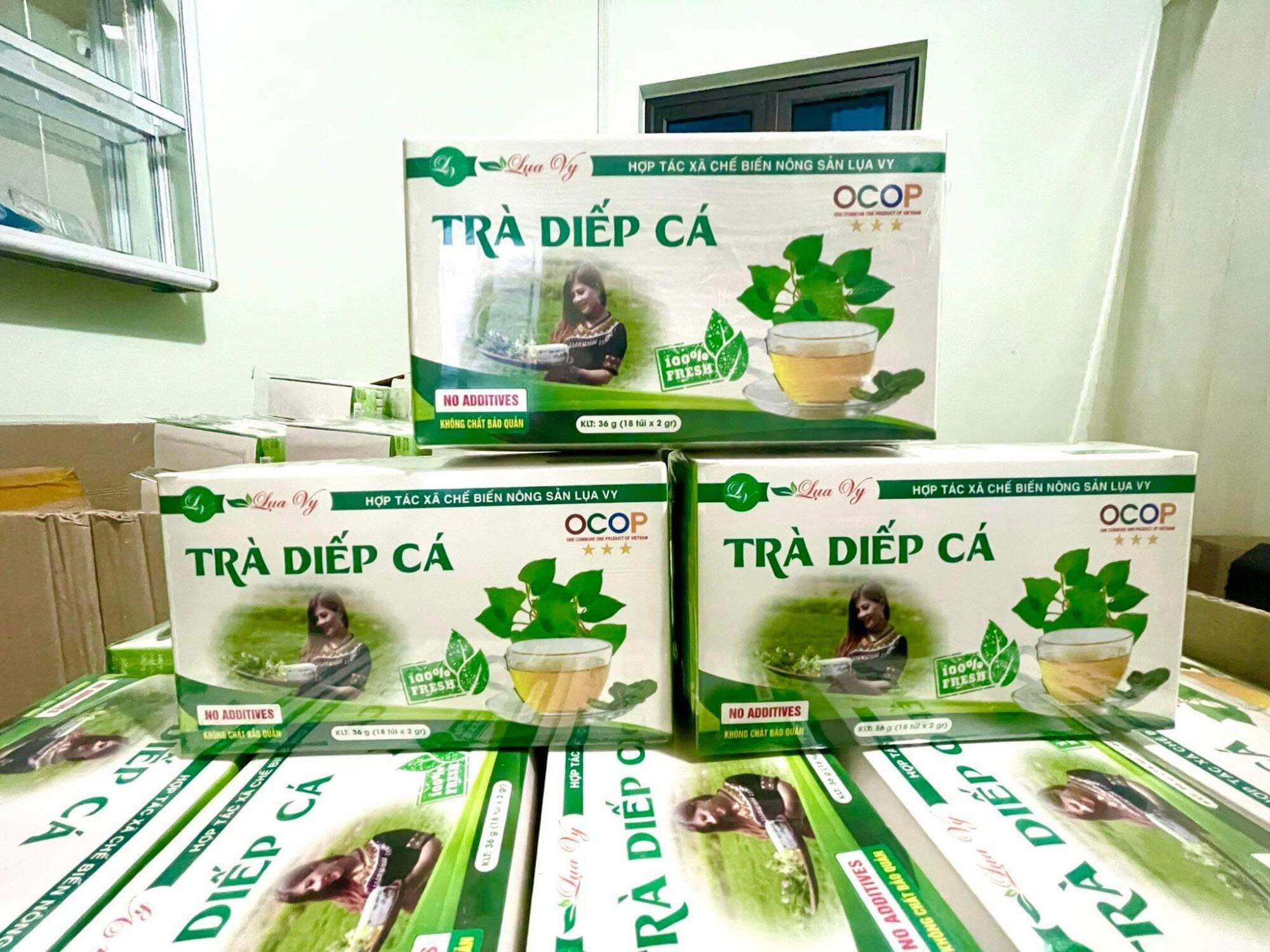 Trà diếp cá Lụa Vy