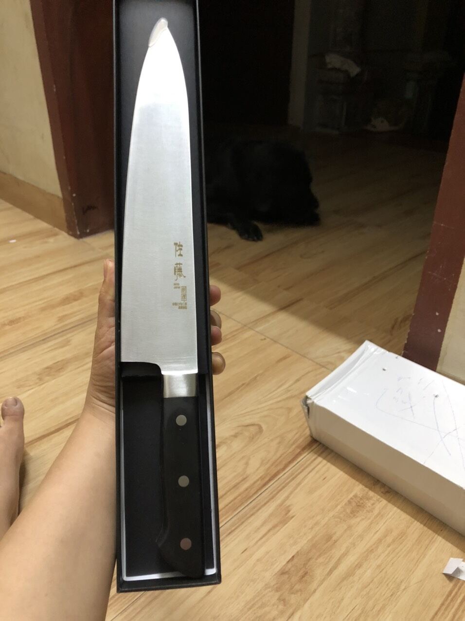 Dao thái nhật bản