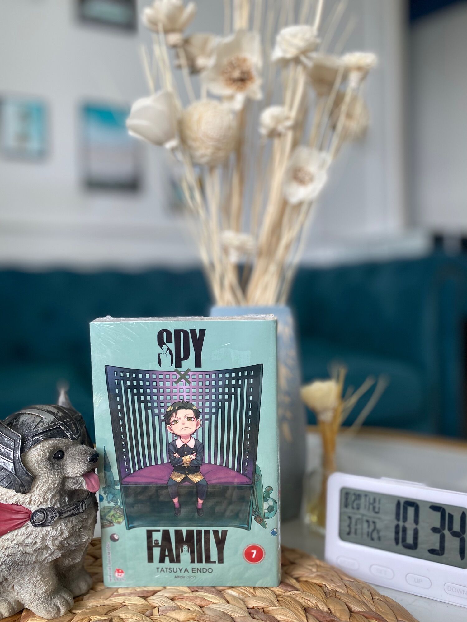 spy x family lẻ