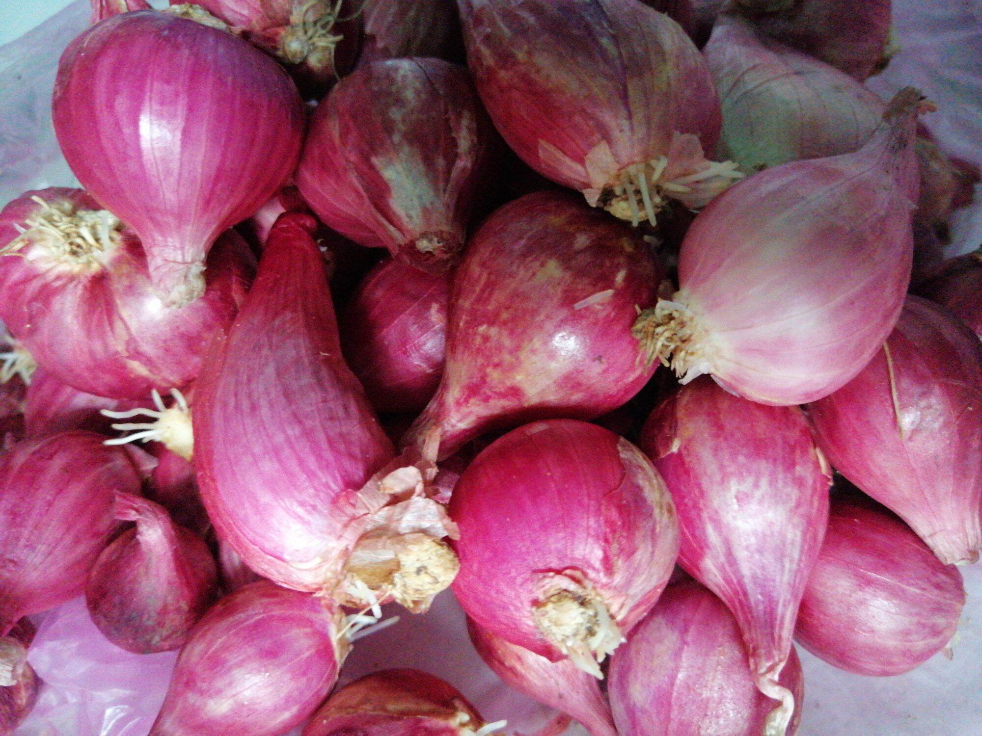 1kg hành củ tím, hành hương (đảo lý sơn  loại 1 củ to)