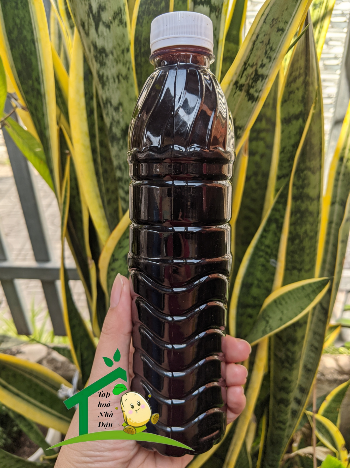 Nước màu dừa Bến Tre 500ml