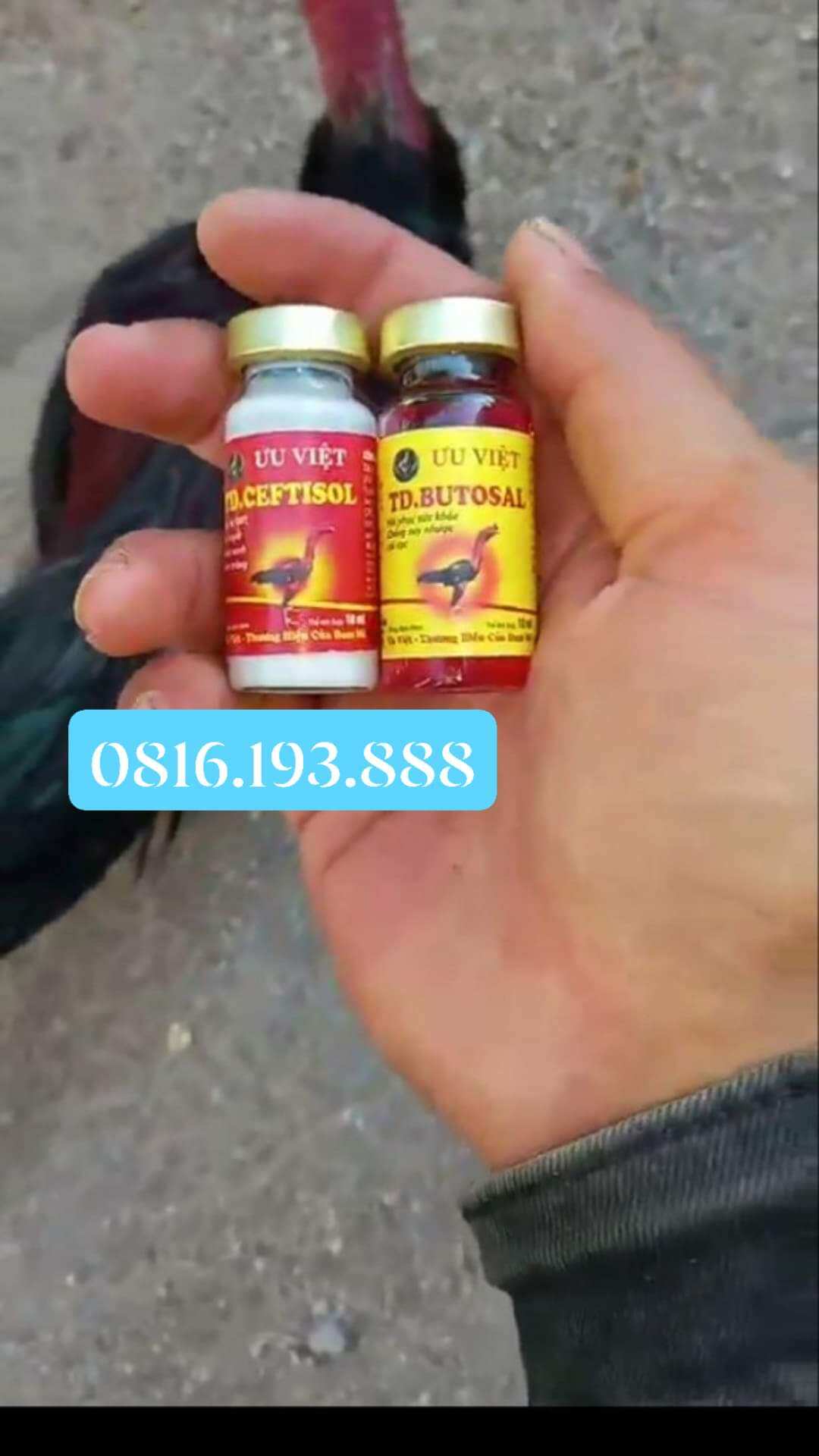 Phân xanh phân trắng ưu việt. thuốc chữa Bách bệnh đường ruột trên gà đá 
🖕1 mũi duy n hất là dứt điểm, gà ủ rũ, chậm tiêu, xù lông, nhợt nhạt, nằm liệt, mào thâm, phân xanh trắng loãng.