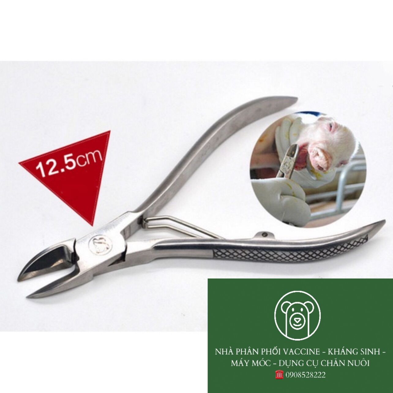 Kìm bấm răng nanh lợn con