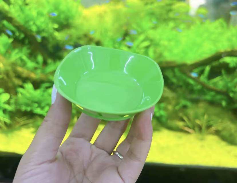 🔥set 10 chén đựng muối tiêu, nước chấm vuông nhỏ