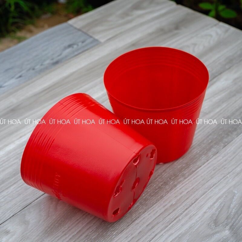 Chậu Nhựa Đỏ C9 (20x16cm) trồng hoa tết