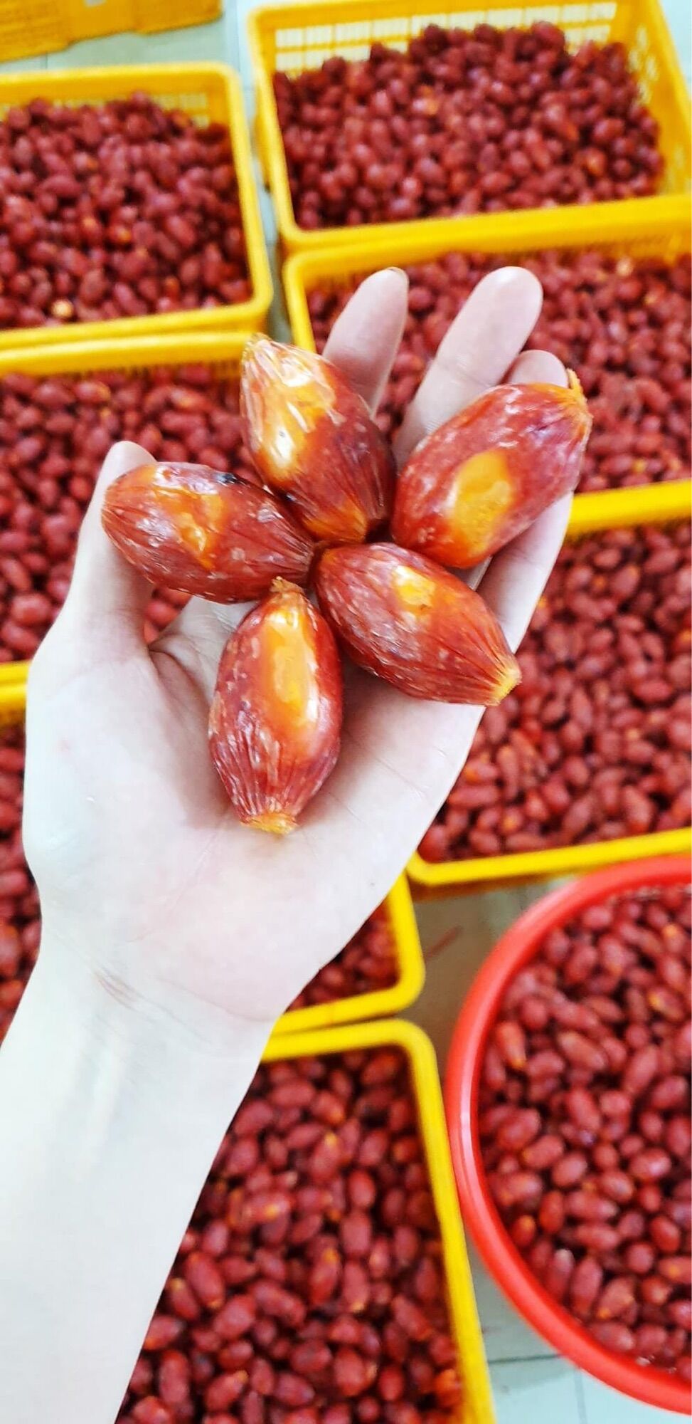 Lạp xưởng hồ lô trứng muối bịch 500gr