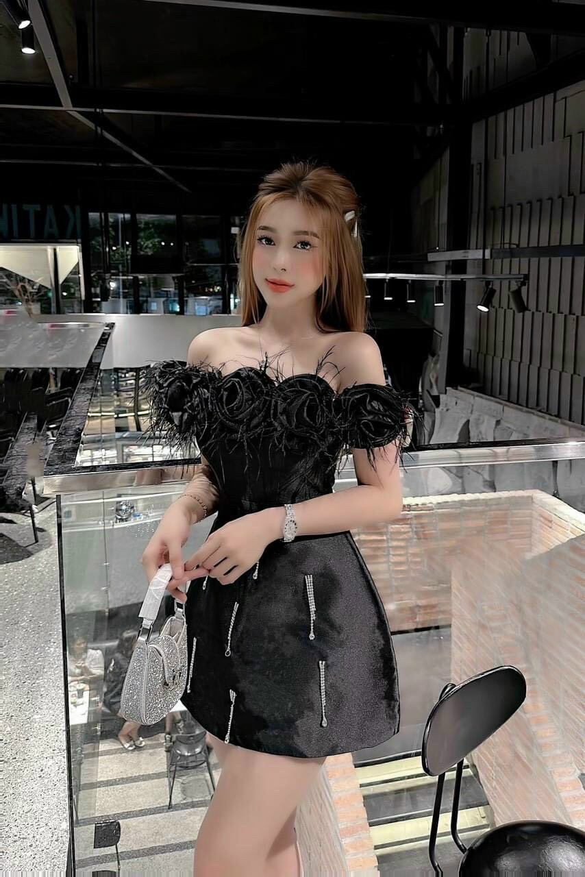 ĐẦM  XÒE HOA TRỄ VAI ĐÍNH LÔNG