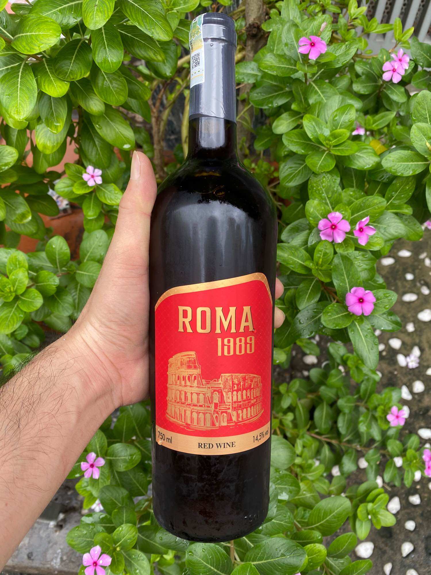 Roma Red Wine 1989 14.5% 750ml
