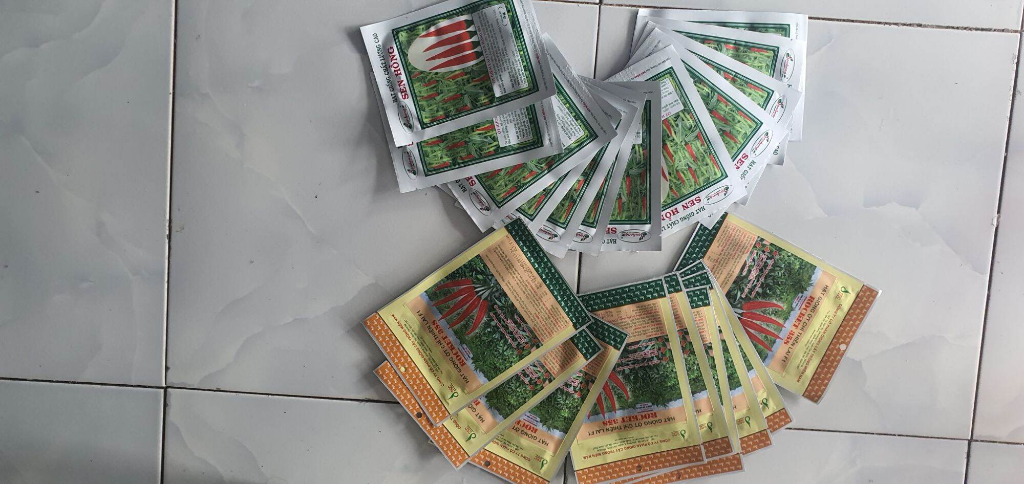 Hạt Giống ớt sen Hồng 084