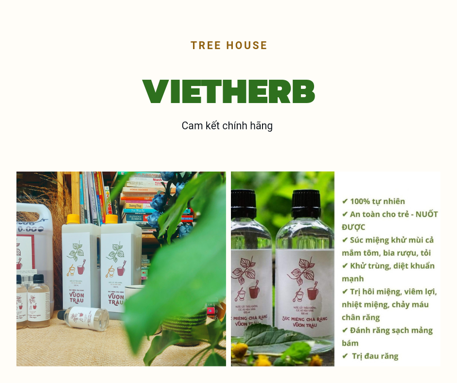 Nước xúc miệng chà răng vườn trầu _ vietherb