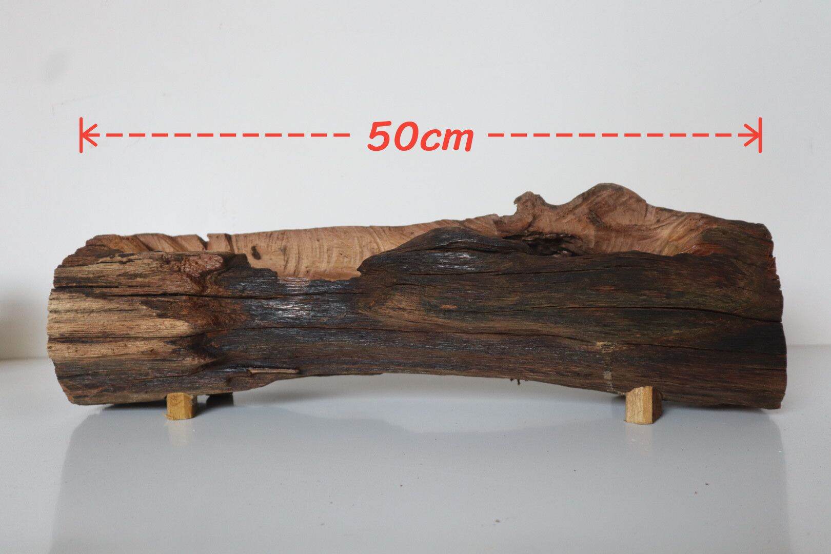 chậu gỗ lũa size lớn
