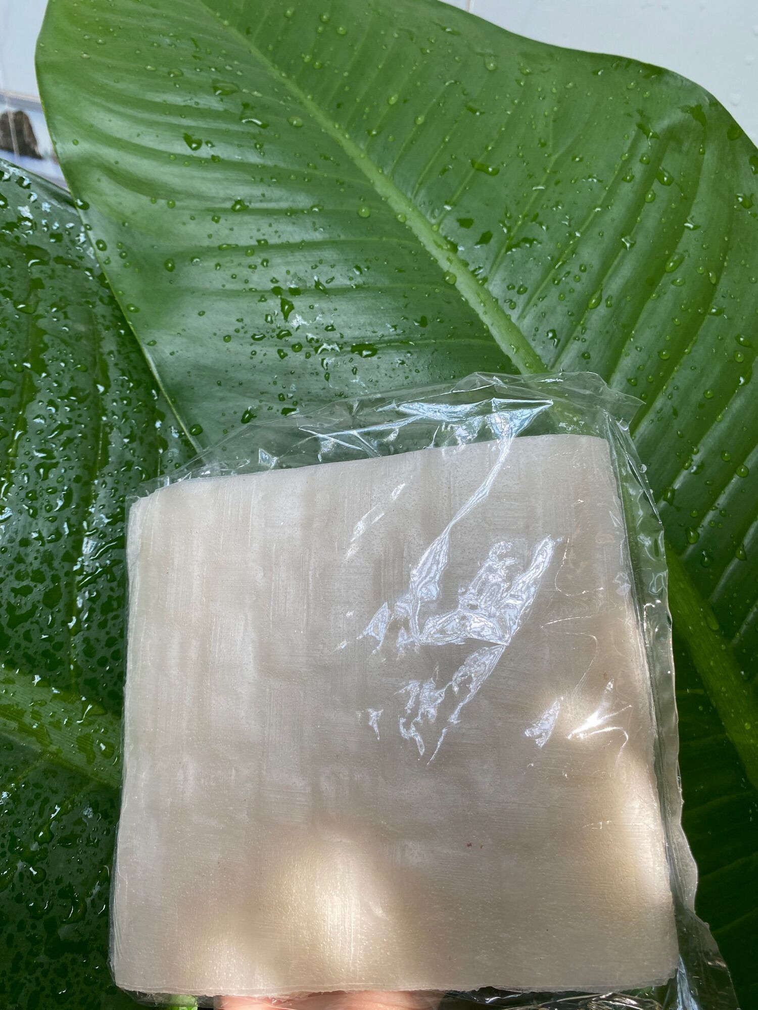 5 bịch bánh tráng bình định cuốn chả ram