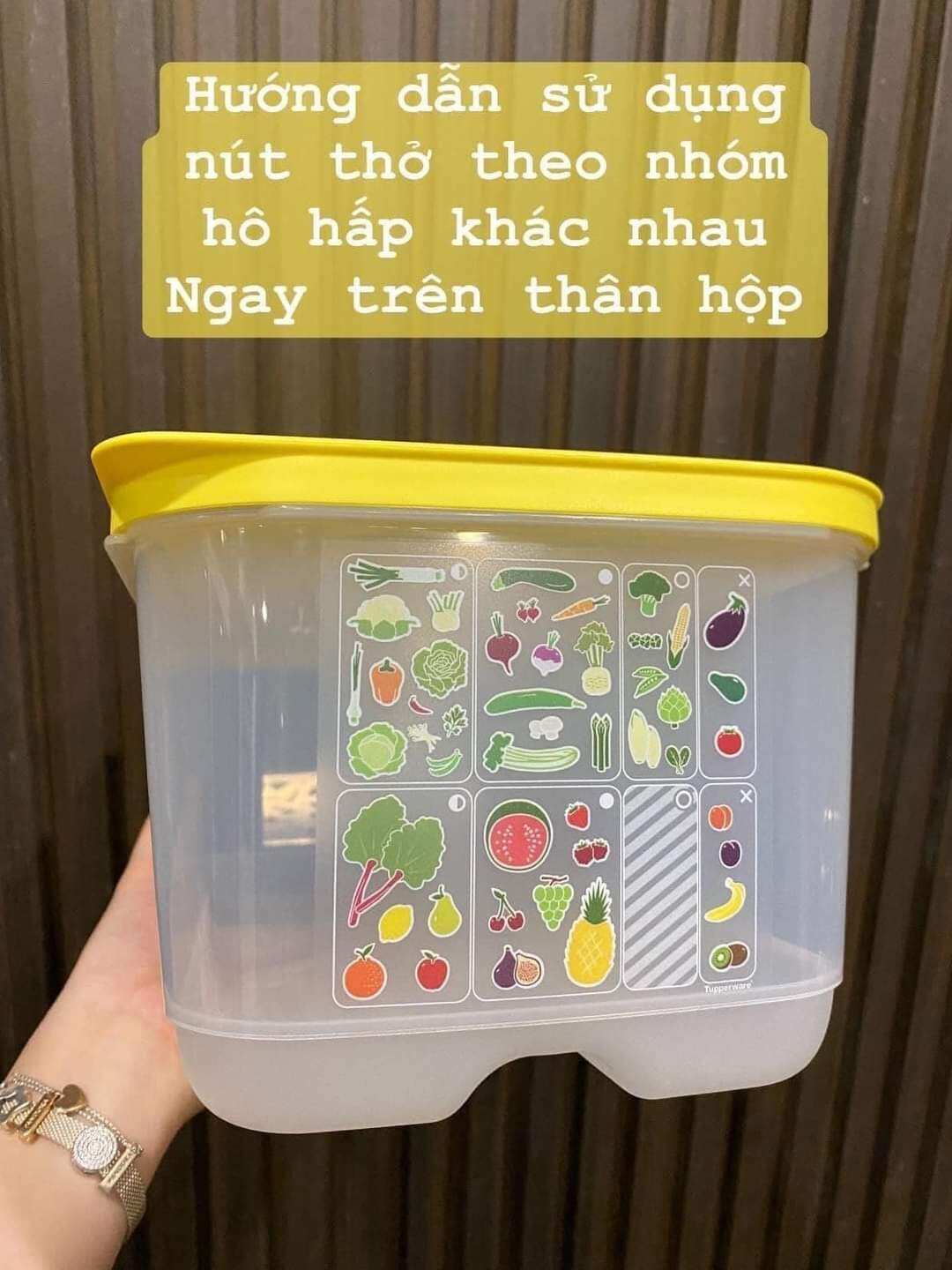 Hộp trữ mát có nút hô hấp 6.1L Ventsmart
