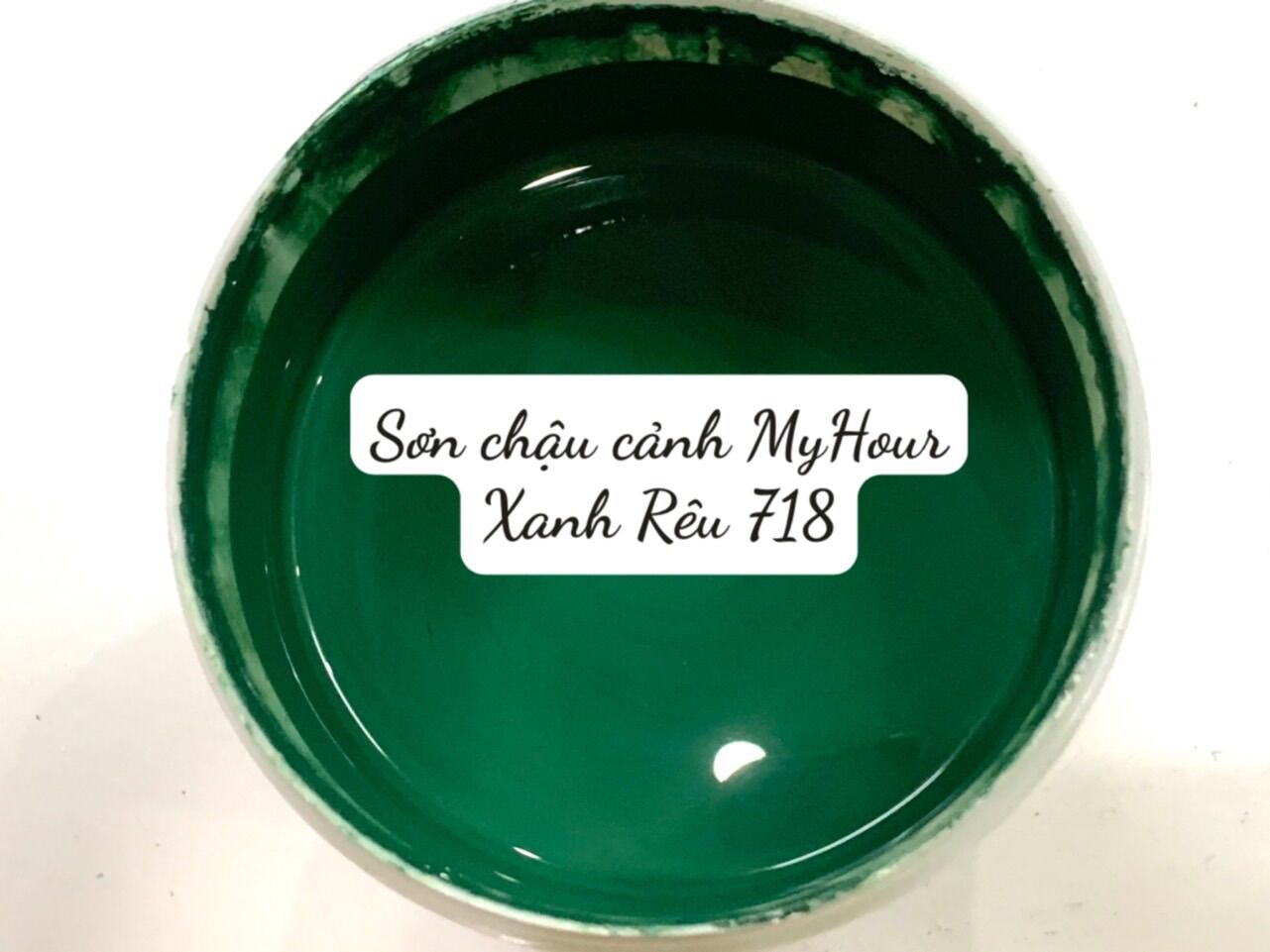 Sơn chậu cảnh màu xanh rêu, Sơn Chậu Cảnh, Sơn Chậu Kiểng, Sơn Trang Trí My Hour