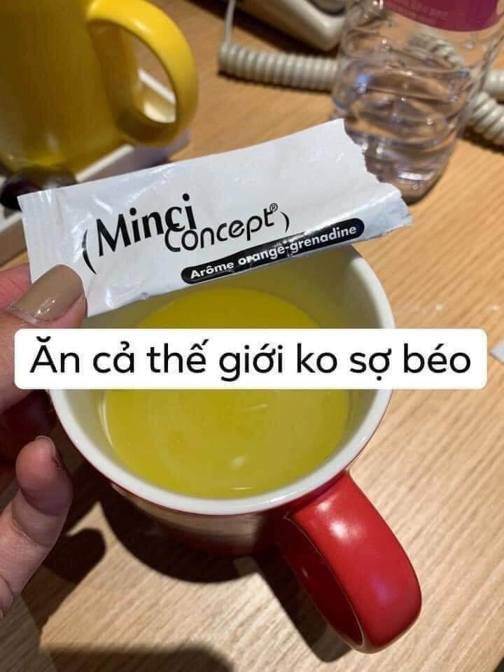 MINCI CONCEPT nội địa Pháp