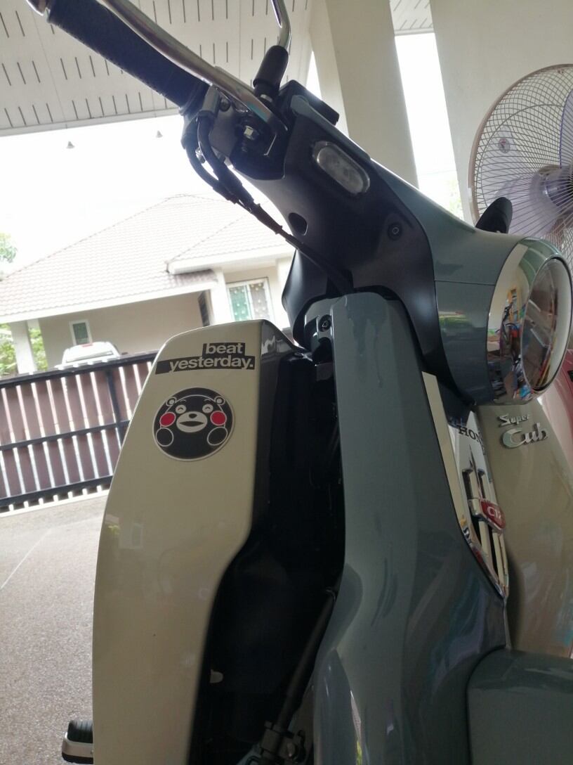 Logo Scoopy KUMAMON