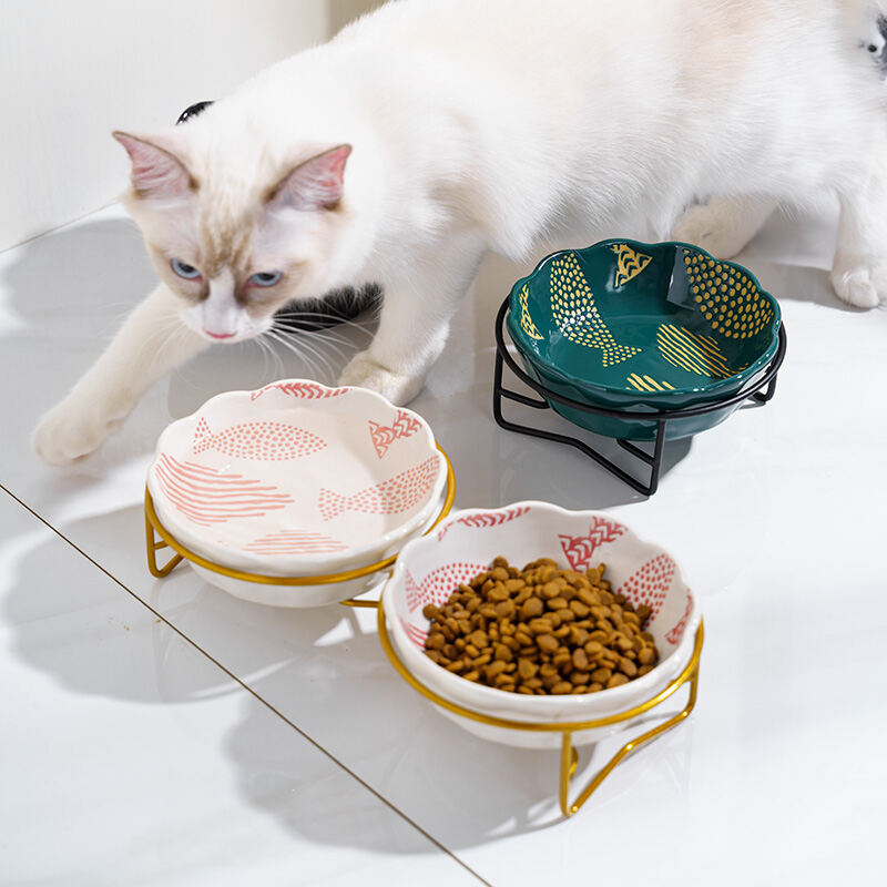 Bát Ăn Cho Mèo Bát Ăn Hai Món Gốm Sứ Bát Ăn Cho Mèo Bát Nước Cho Chó Bát