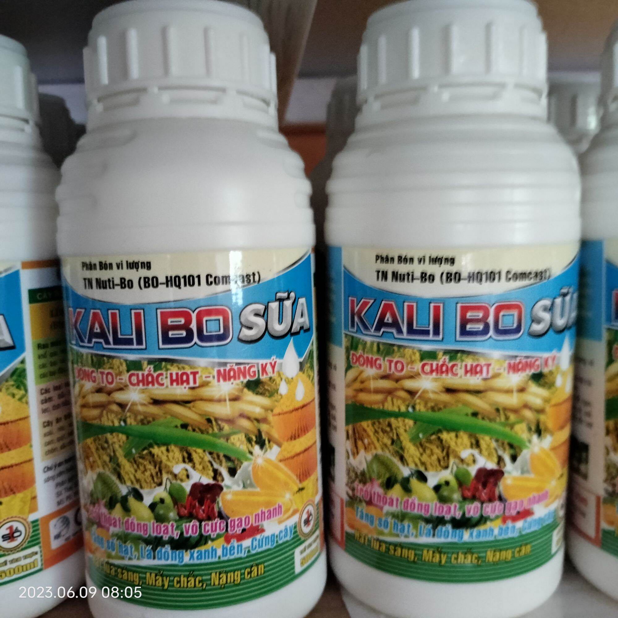 KALI BO SỮA