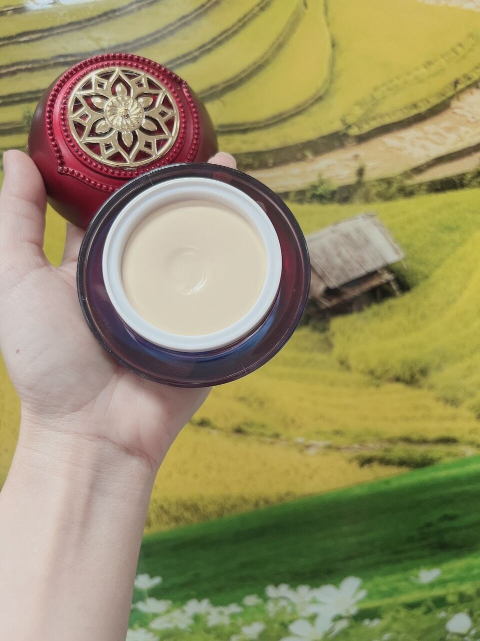 Face Vip Đỏ Nén Balla Luta Chính Hãng