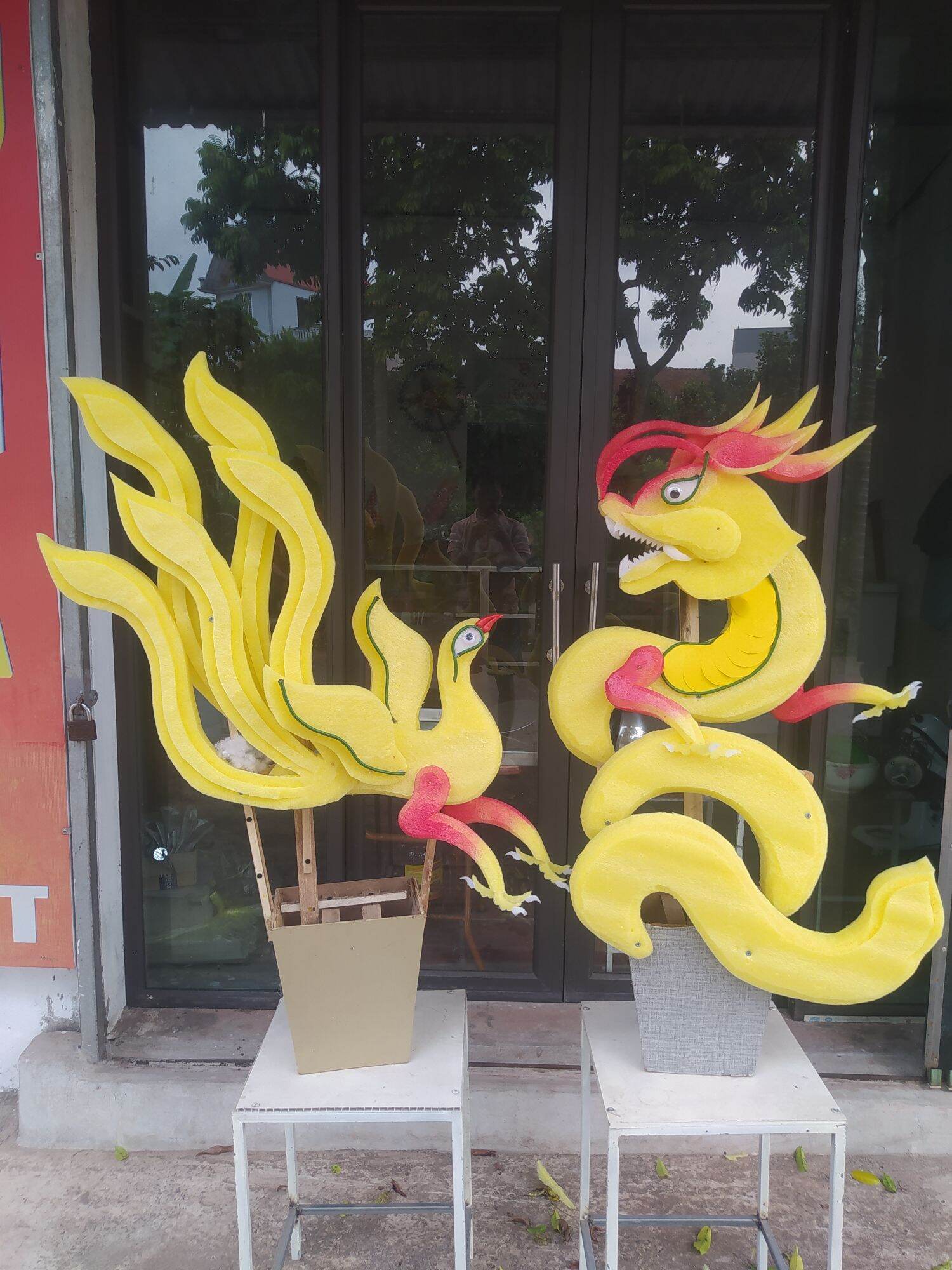 cốt rồng phượng 5 đuôi