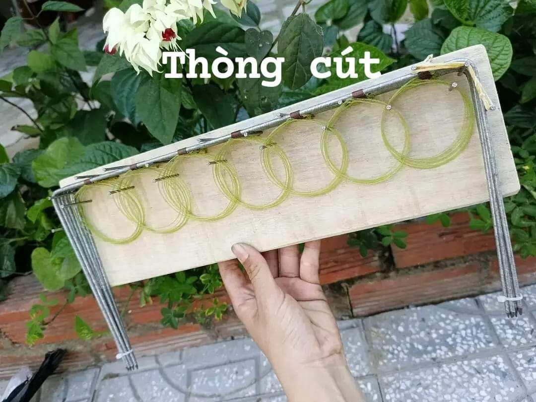 Thòng cút 7 khung 7 vòng màu xanh