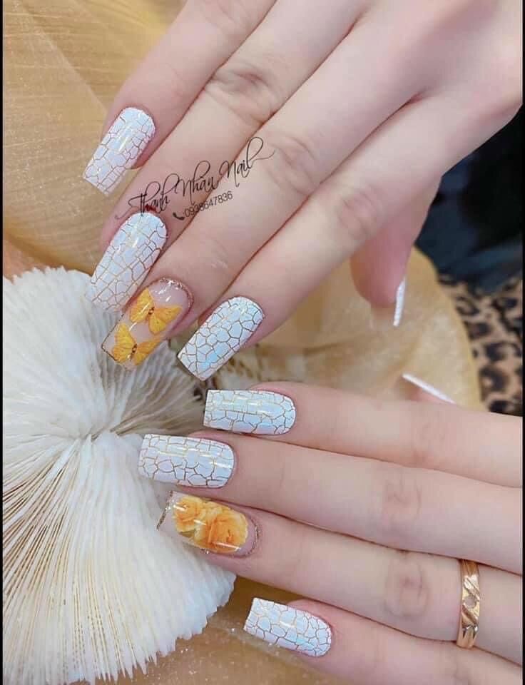 Sơn nứt trắng, sơn nứt đen