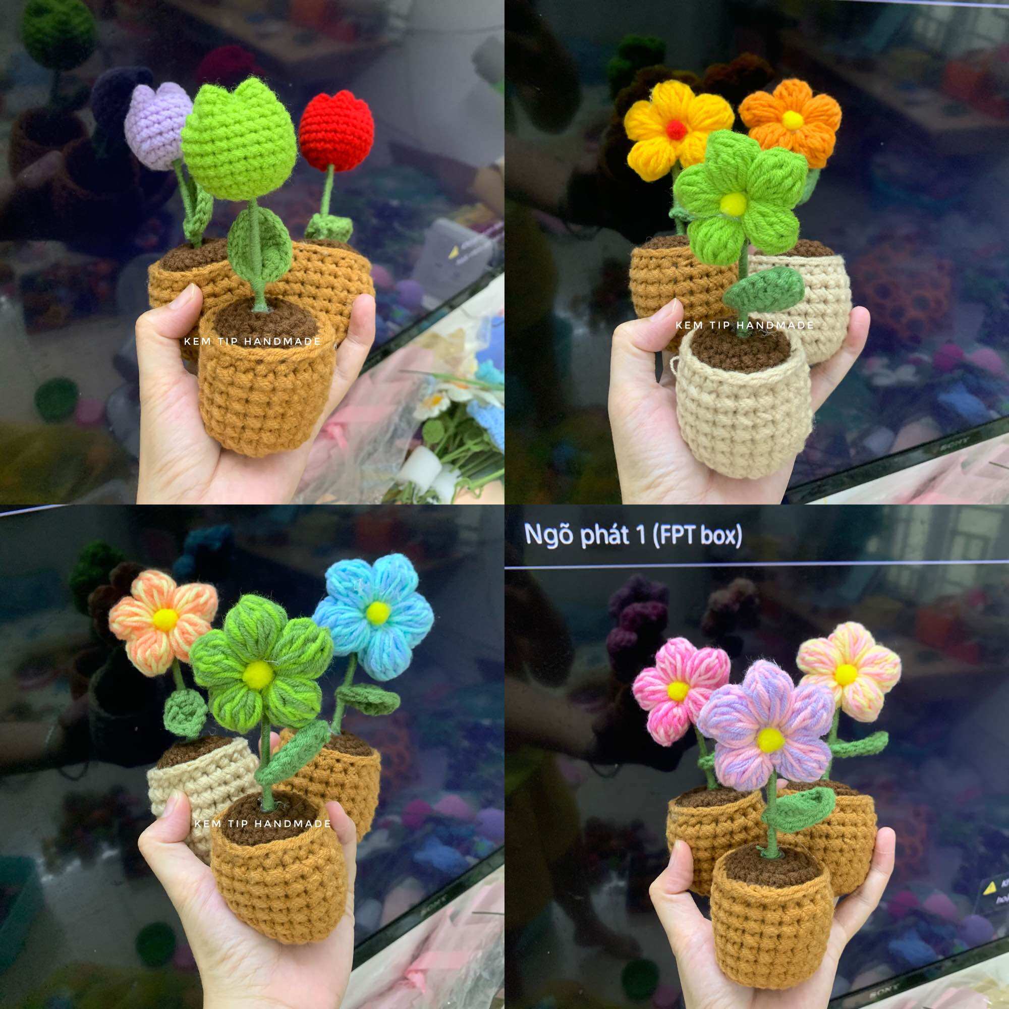 Chậu hoa mini bằng len nhiều màu có sẵn